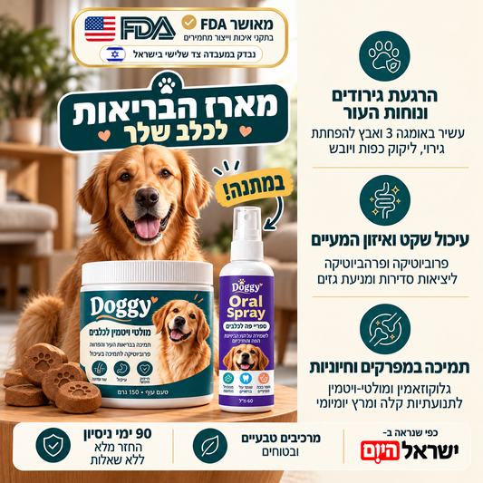 המארז של Doggy