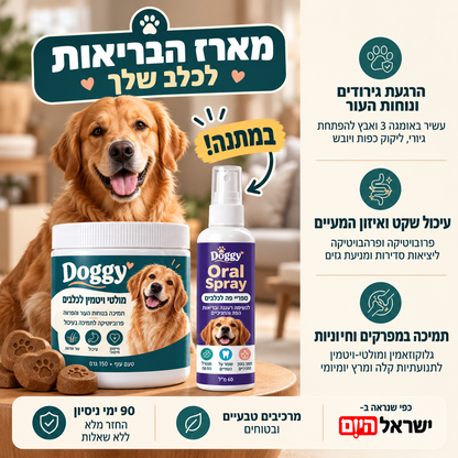 המארז של Doggy